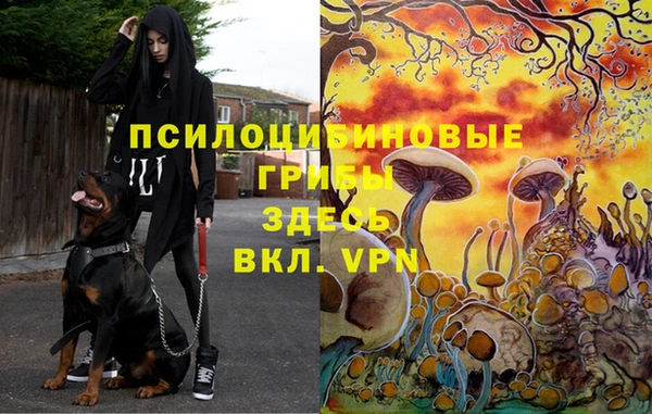 меф Беломорск
