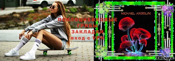 молекула духа Белокуриха