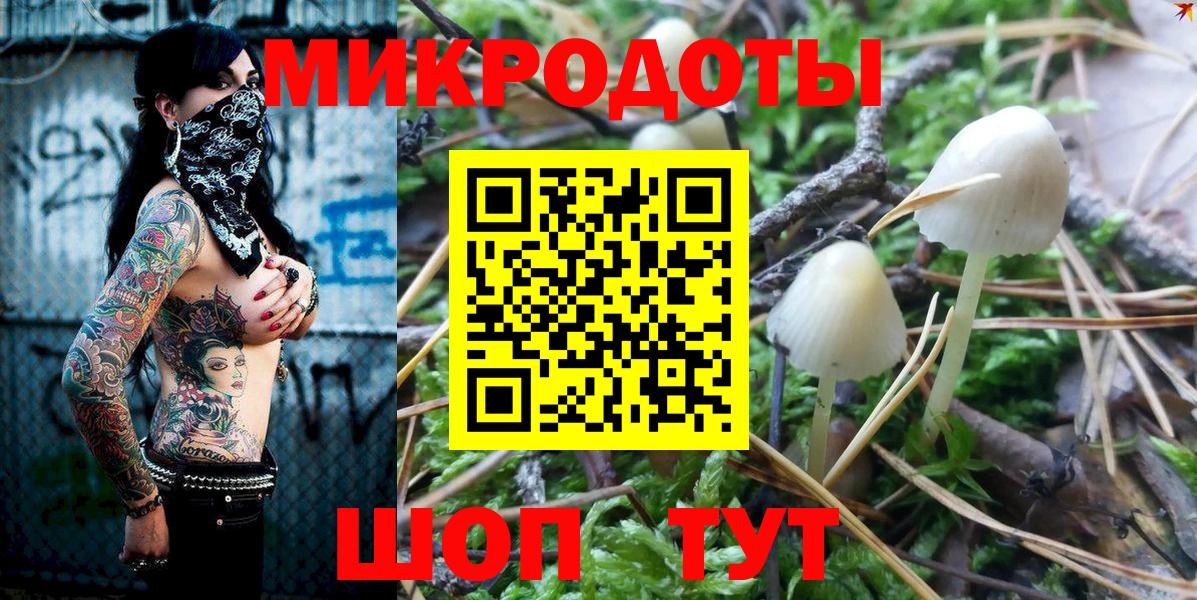 Галлюциногенные грибы Psilocybine cubensis  магазин продажи наркотиков  Галлюциногенные грибы Psilocybe  Гусев  Вход с VPN 